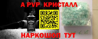 шишки Камышлов