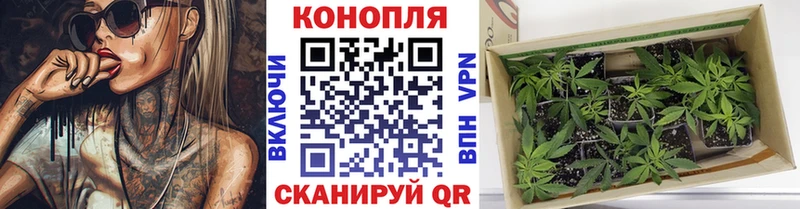 купить  цена  darknet официальный сайт  Шишки марихуана VHQ  Кудымкар 
